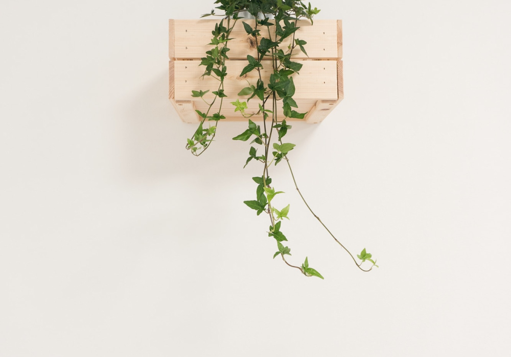 Modern IT Infrastructure